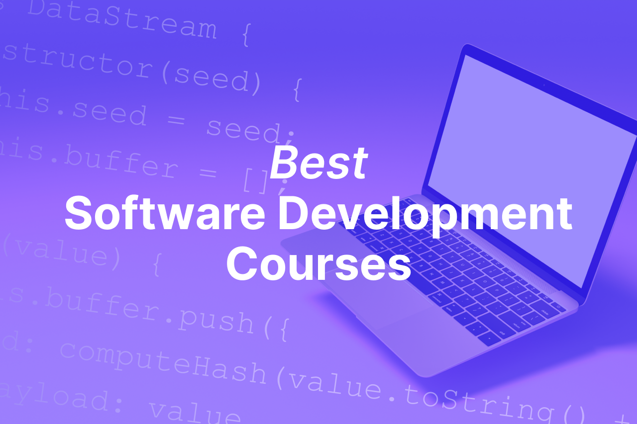 software development
